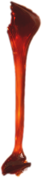Teriyaki Sause